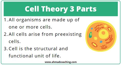 Choose the three options that best describe the parts of the cell theory Select all that apply Da. Even though a cell contains smaller parts, the cell is the smallest structure that contains all of the components needed to survive. b. Even though there is great diversity in what organisms look like and what.